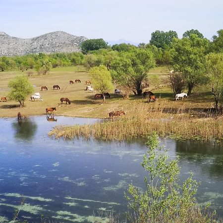 Wild Beauty House Skadar Lake Cetinje Dış mekan fotoğraf